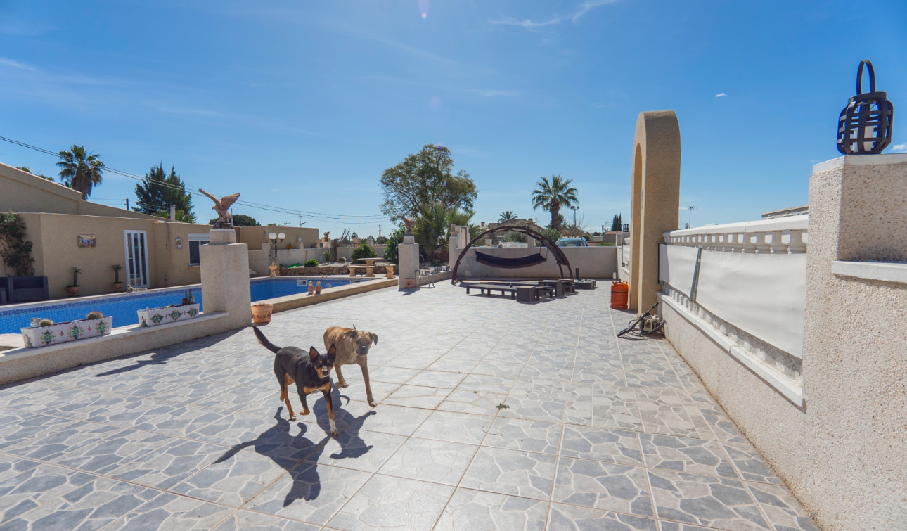 Resale - Finca / Country Property - Los Montesinos