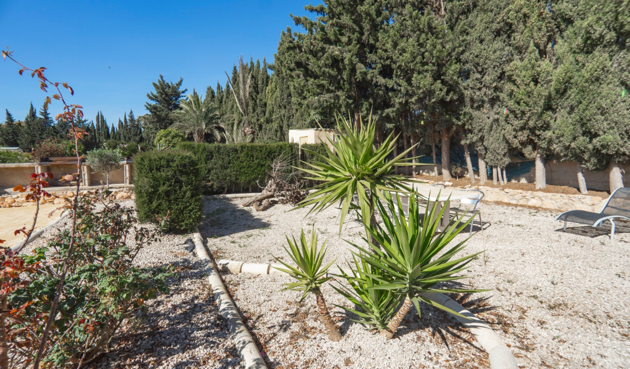 Resale - Finca / Country Property - Los Montesinos