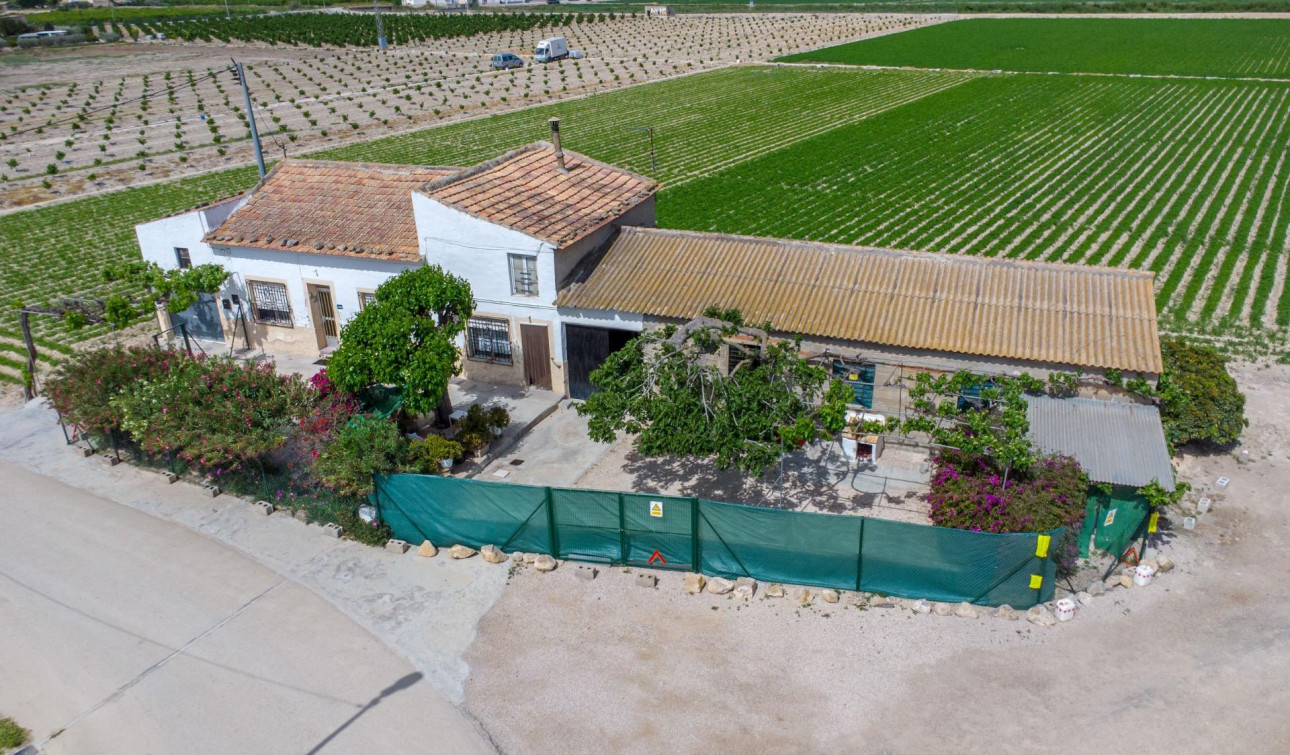 Resale - Finca / Country Property - Orihuela - Desamparados-Hurchillo-Torremendo