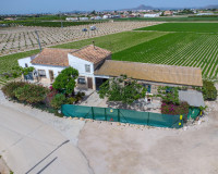 Resale - Finca / Country Property - Orihuela - Desamparados-Hurchillo-Torremendo