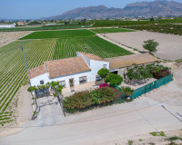 Resale - Finca / Country Property - Orihuela - Desamparados-Hurchillo-Torremendo