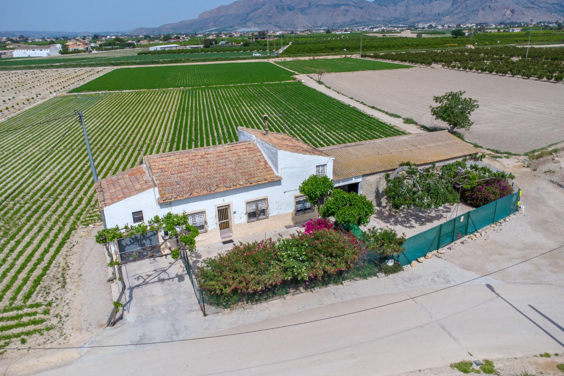 Resale - Finca / Country Property - Orihuela - Desamparados-Hurchillo-Torremendo