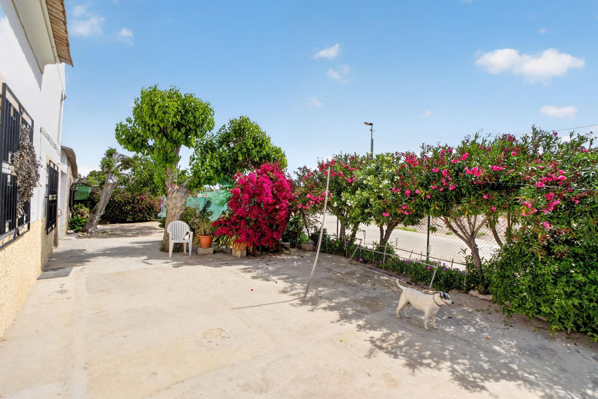 Resale - Finca / Country Property - Orihuela - Desamparados-Hurchillo-Torremendo