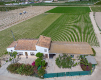 Resale - Finca / Country Property - Orihuela - Desamparados-Hurchillo-Torremendo