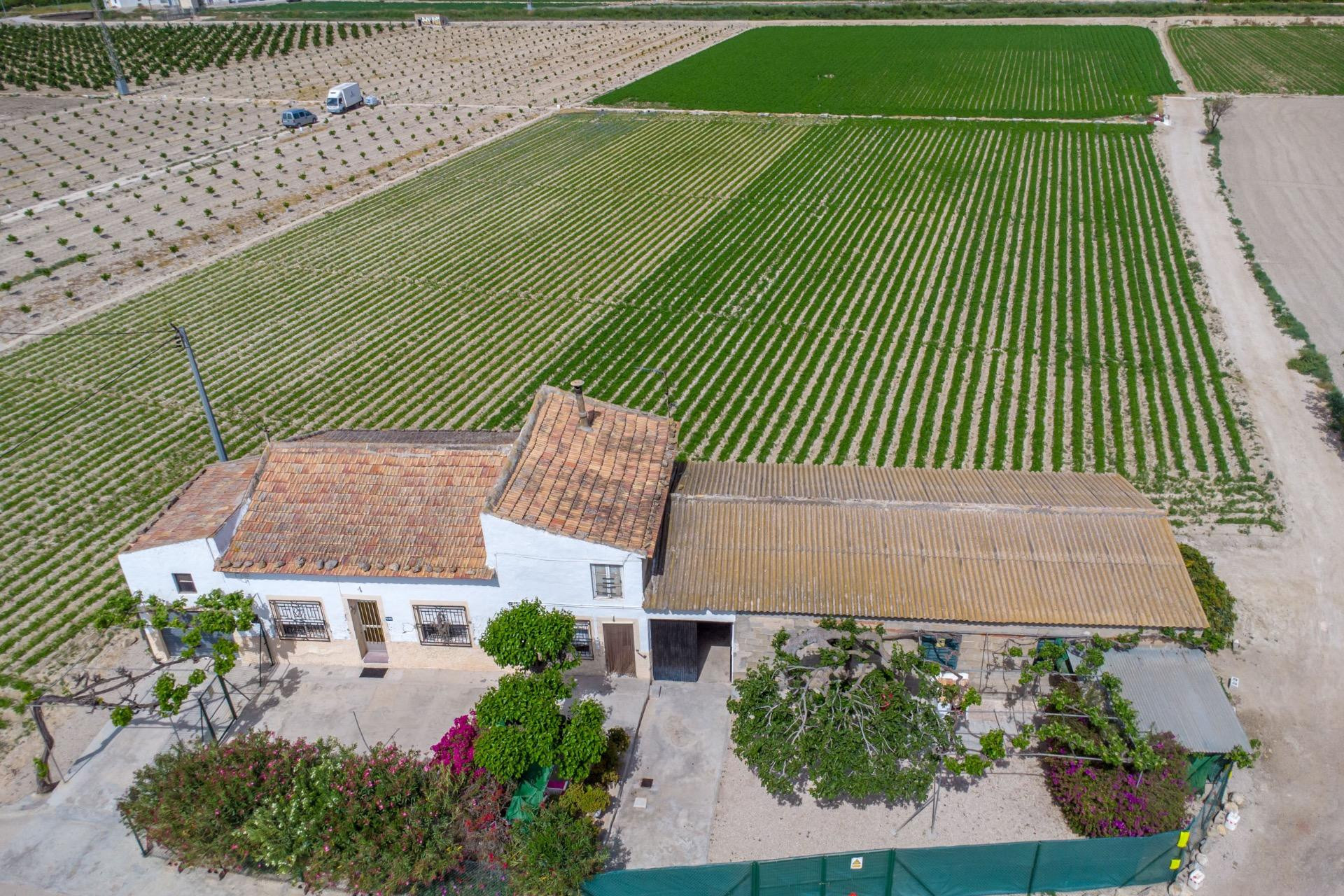 Resale - Finca / Country Property - Orihuela - Desamparados-Hurchillo-Torremendo