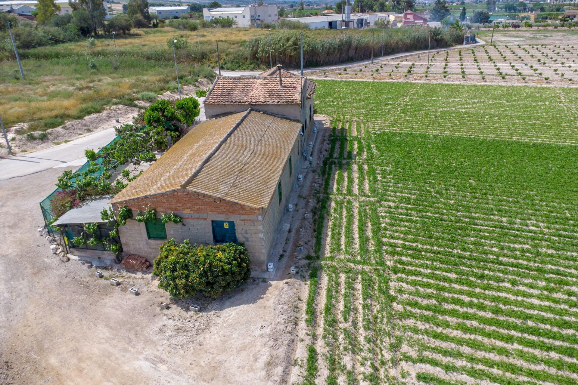 Resale - Finca / Country Property - Orihuela - Desamparados-Hurchillo-Torremendo
