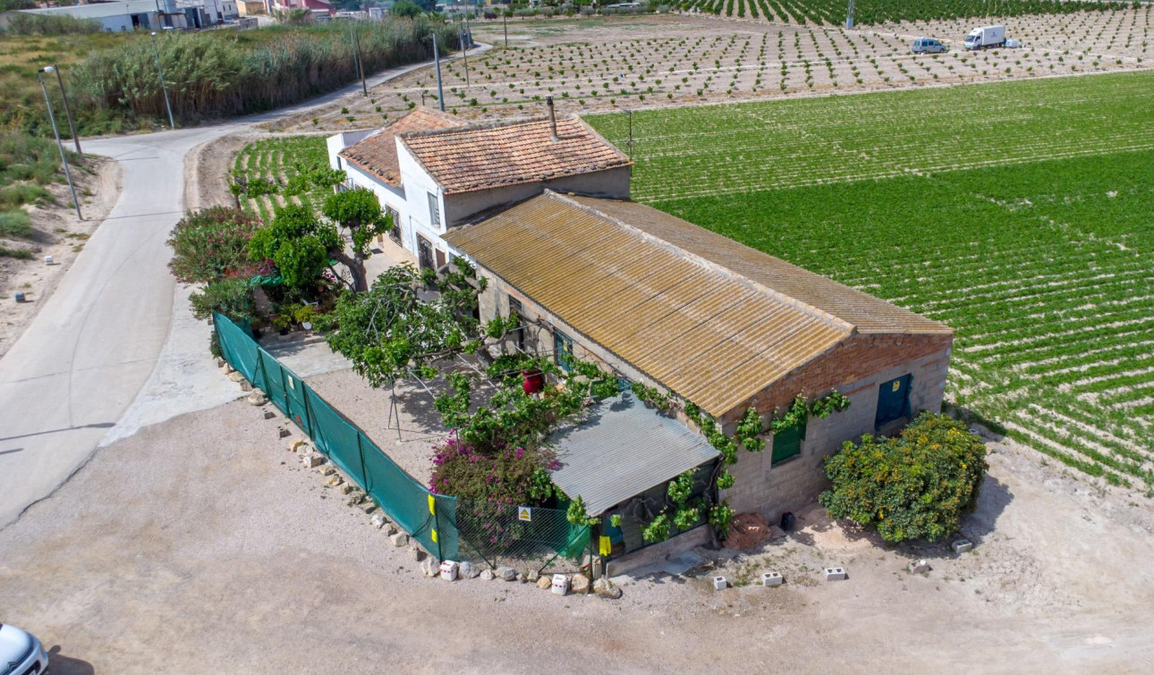 Resale - Finca / Country Property - Orihuela - Desamparados-Hurchillo-Torremendo