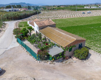 Resale - Finca / Country Property - Orihuela - Desamparados-Hurchillo-Torremendo