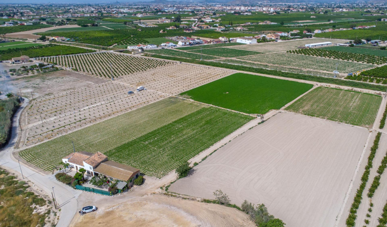 Resale - Finca / Country Property - Orihuela - Desamparados-Hurchillo-Torremendo