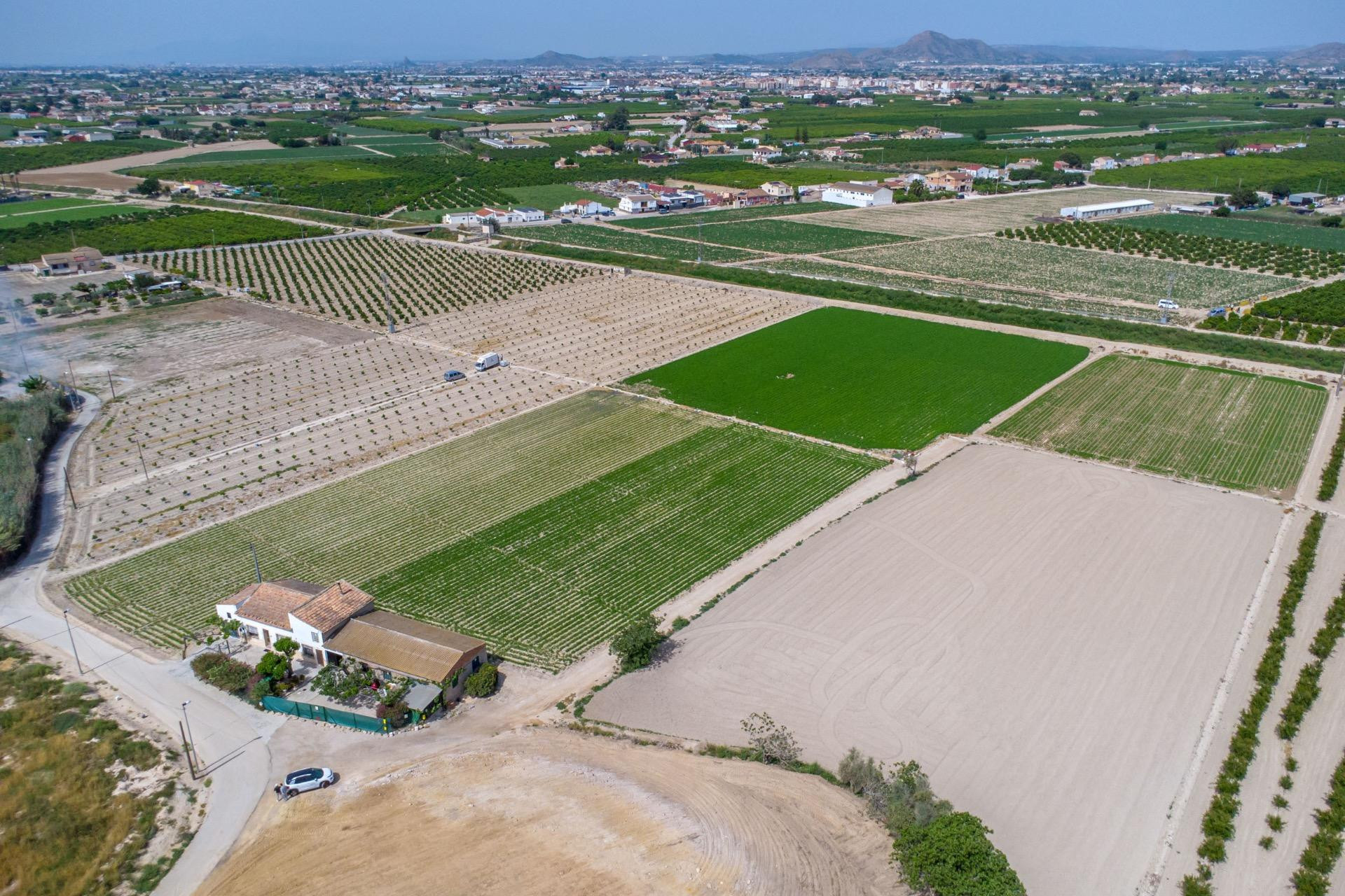 Resale - Finca / Country Property - Orihuela - Desamparados-Hurchillo-Torremendo