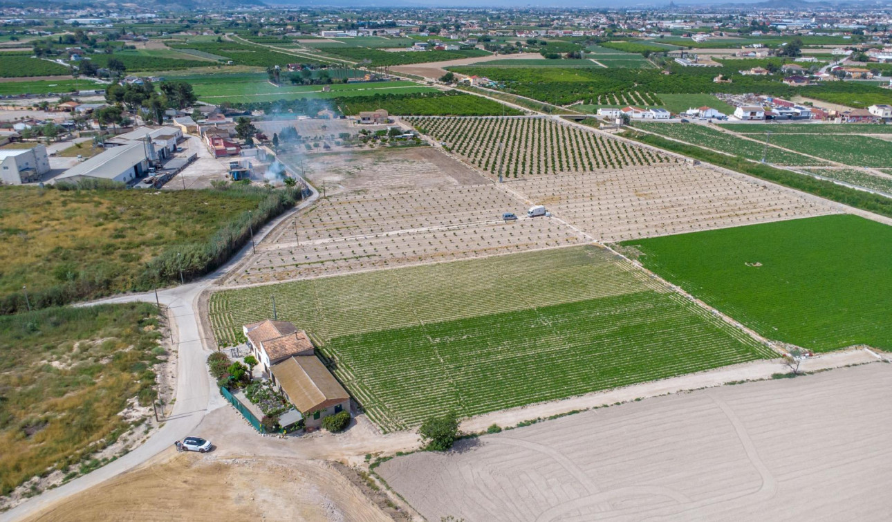 Resale - Finca / Country Property - Orihuela - Desamparados-Hurchillo-Torremendo
