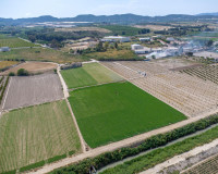Resale - Finca / Country Property - Orihuela - Desamparados-Hurchillo-Torremendo