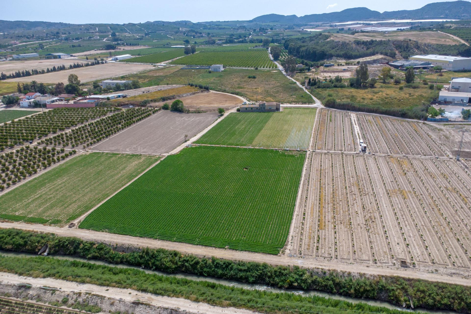 Resale - Finca / Country Property - Orihuela - Desamparados-Hurchillo-Torremendo