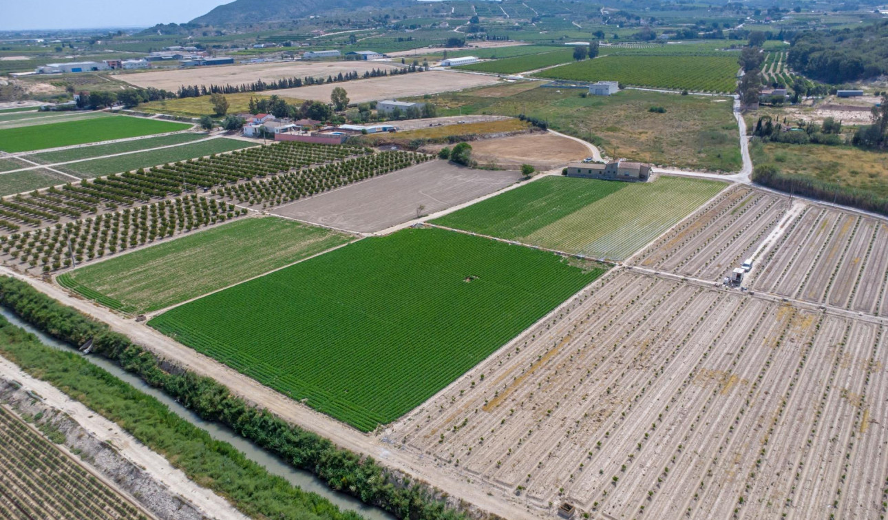 Resale - Finca / Country Property - Orihuela - Desamparados-Hurchillo-Torremendo