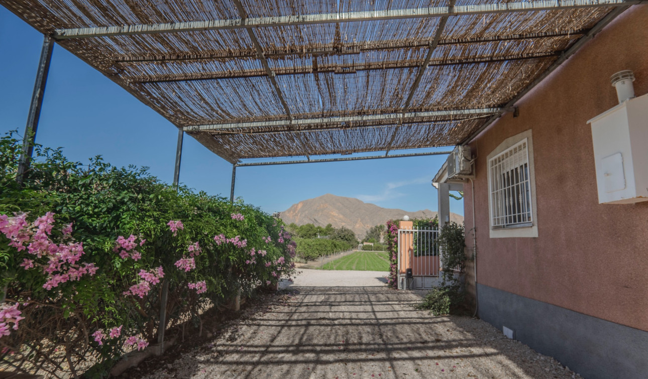 Resale - Finca / Country Property - Orihuela - San Bartolome