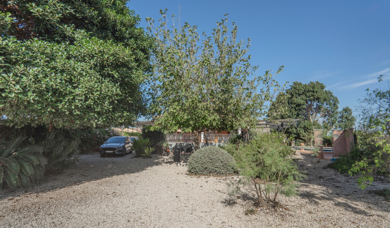 Resale - Finca / Country Property - Orihuela - San Bartolome