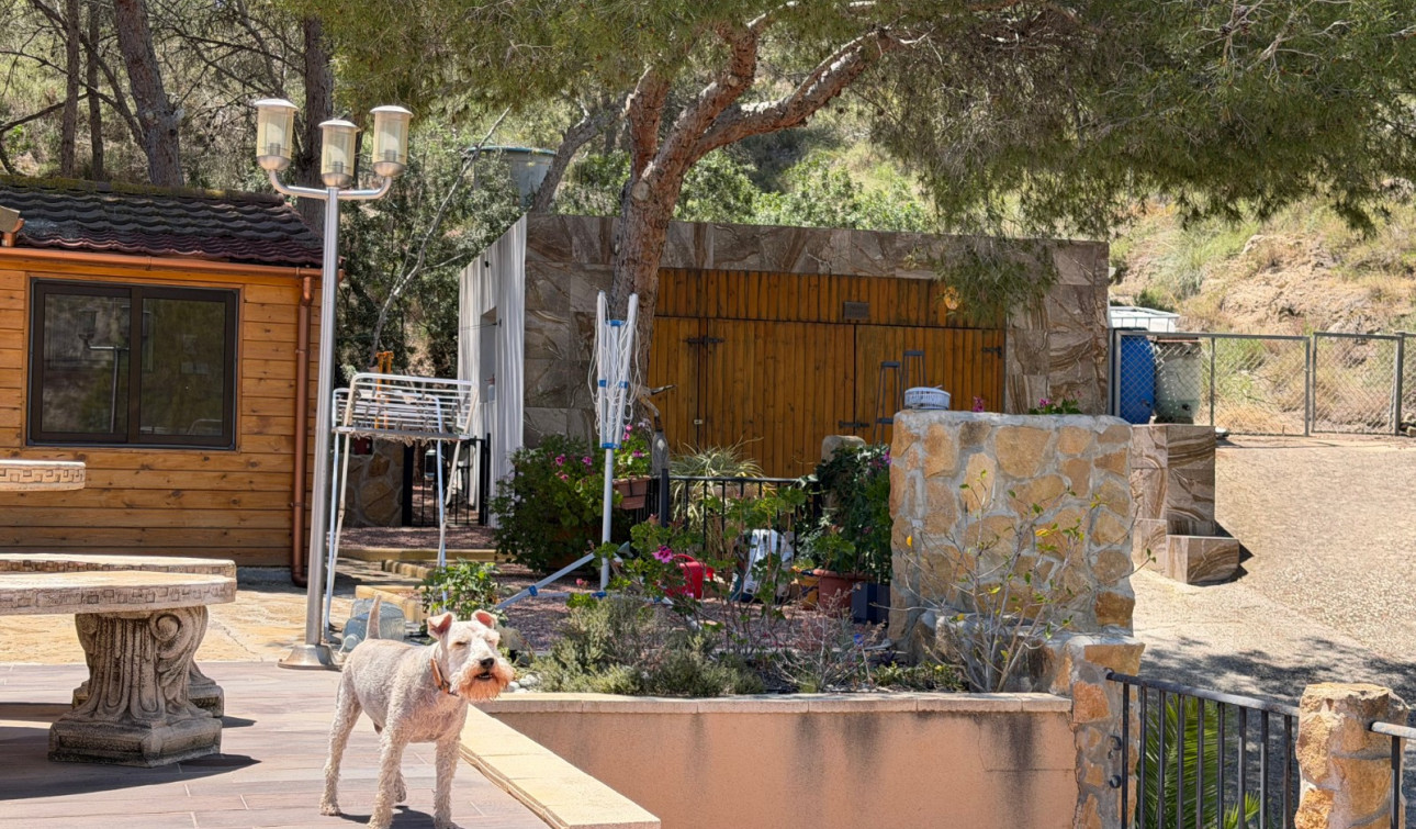 Resale - Finca / Country Property - Orihuela - Torremendo