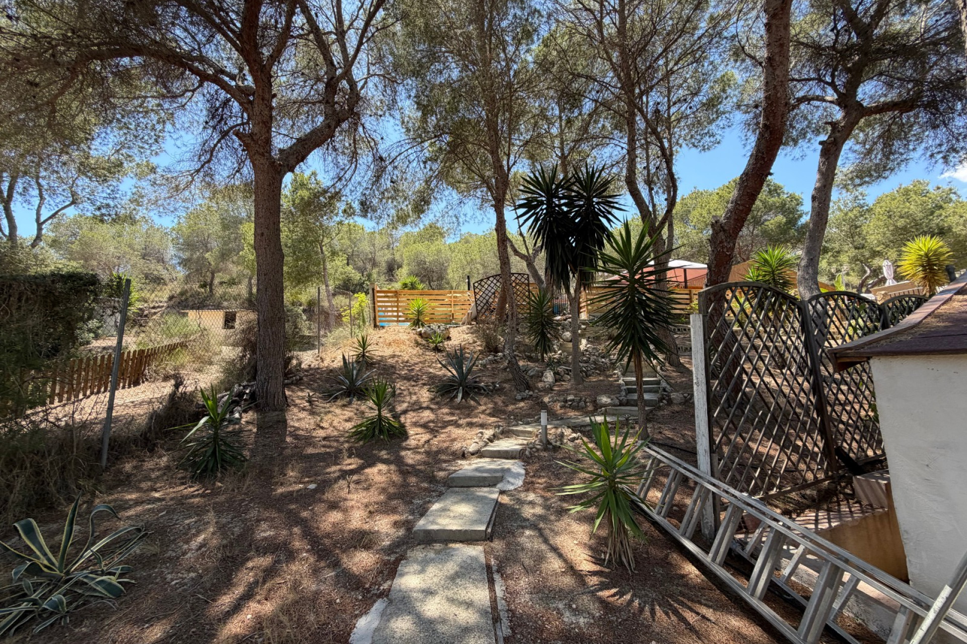 Resale - Finca / Country Property - Orihuela - Torremendo