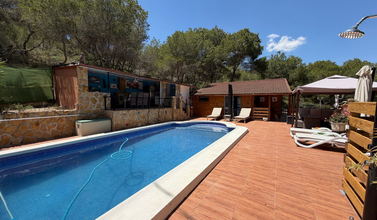 Resale - Finca / Country Property - Orihuela - Torremendo