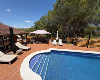 Resale - Finca / Country Property - Orihuela - Torremendo