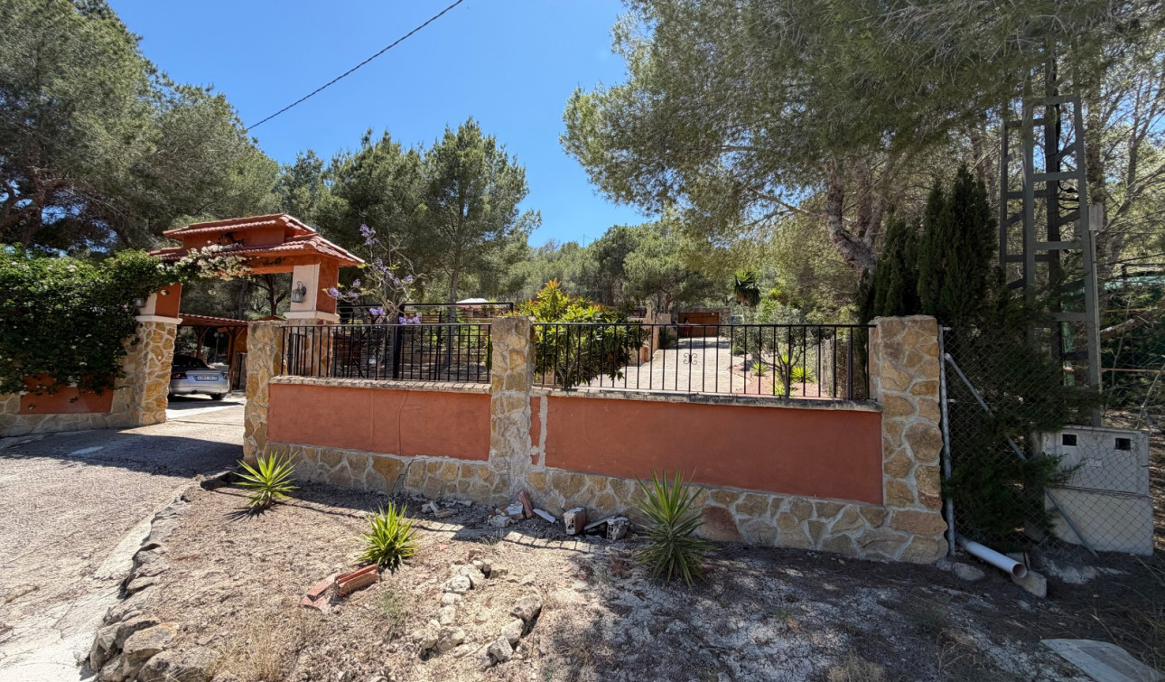 Resale - Finca / Country Property - Orihuela - Torremendo