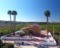 Resale - Finca / Country Property - Orihuela