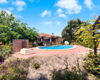 Resale - Finca / Country Property - Orihuela