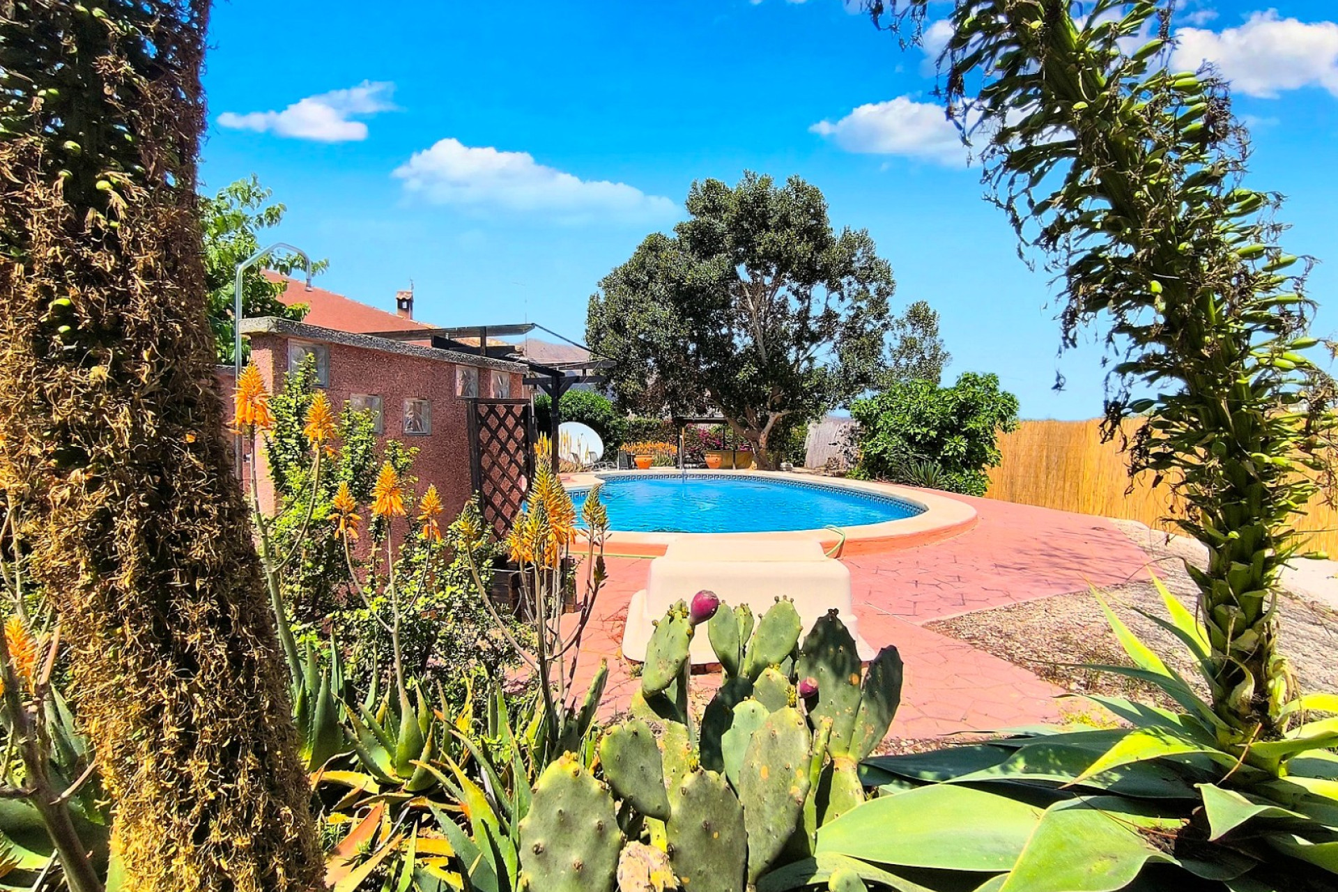 Resale - Finca / Country Property - Orihuela