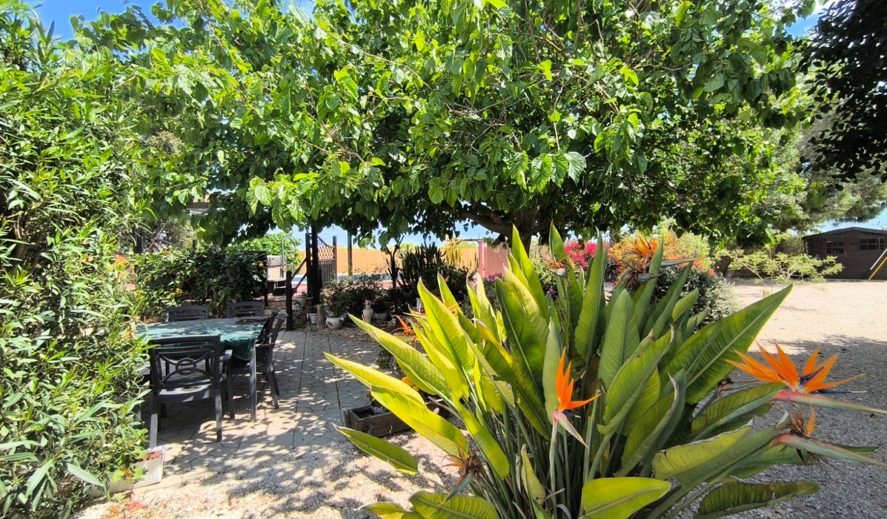 Resale - Finca / Country Property - Orihuela