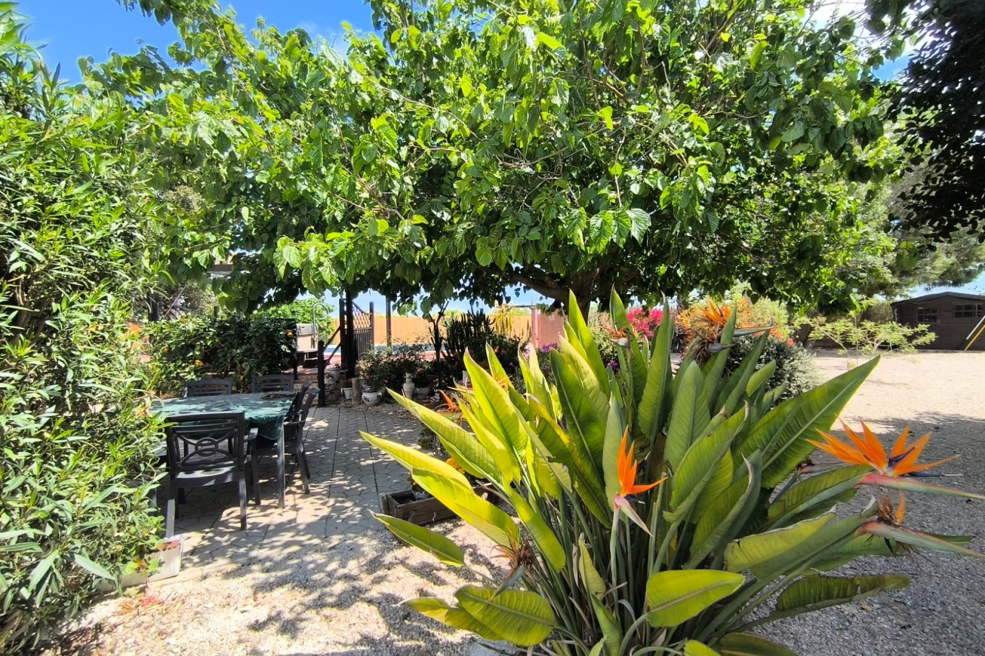 Resale - Finca / Country Property - Orihuela