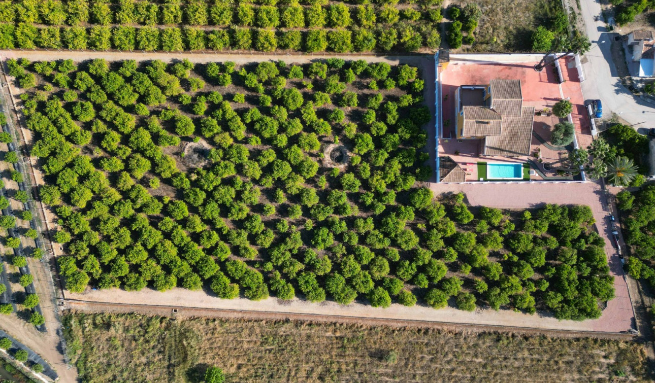 Resale - Finca / Country Property - Orihuela