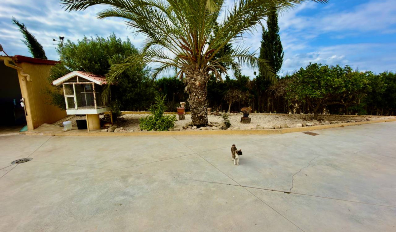 Resale - Finca / Country Property - San Fulgencio - La Marina
