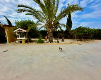 Resale - Finca / Country Property - San Fulgencio - La Marina