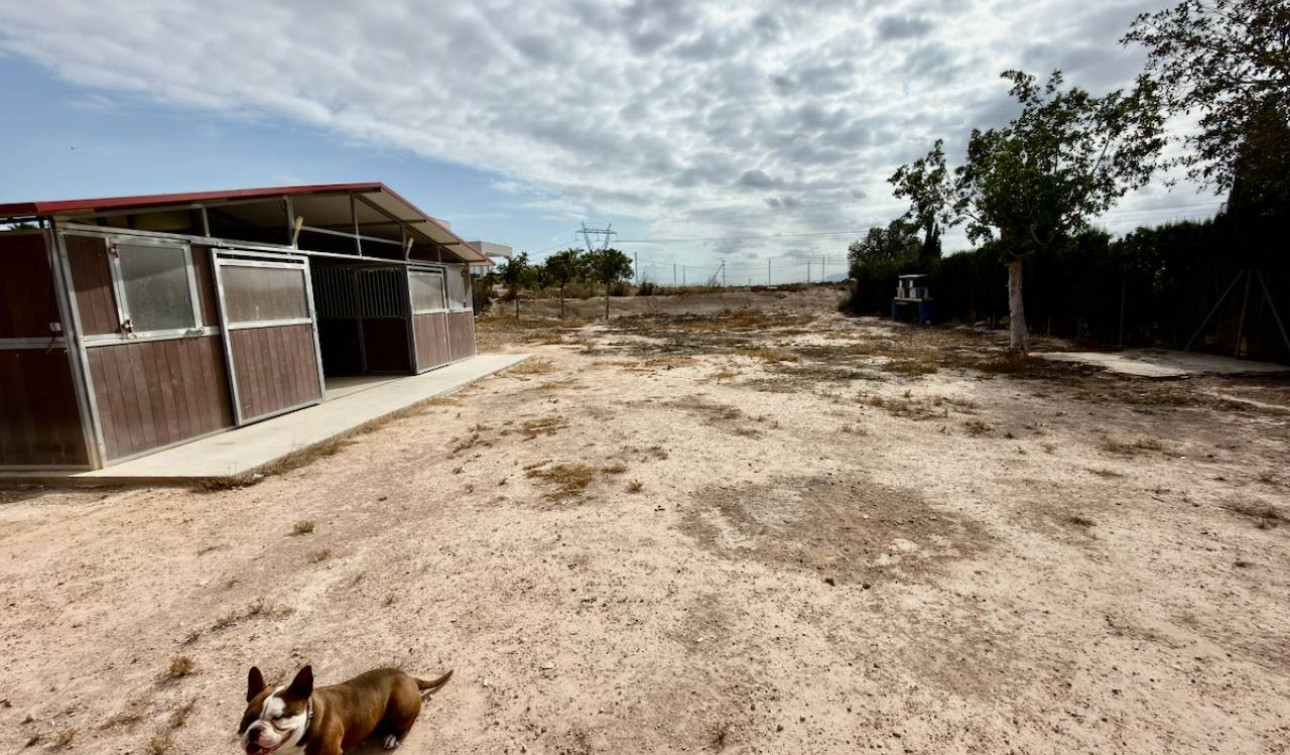 Resale - Finca / Country Property - San Fulgencio - La Marina