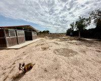 Resale - Finca / Country Property - San Fulgencio - La Marina