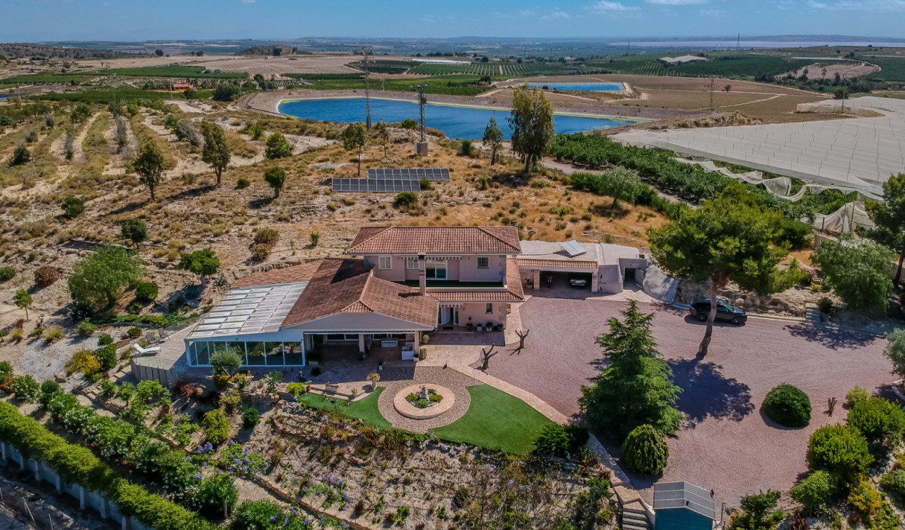 Resale - Finca / Country Property - San Miguel de Salinas - Torremendo