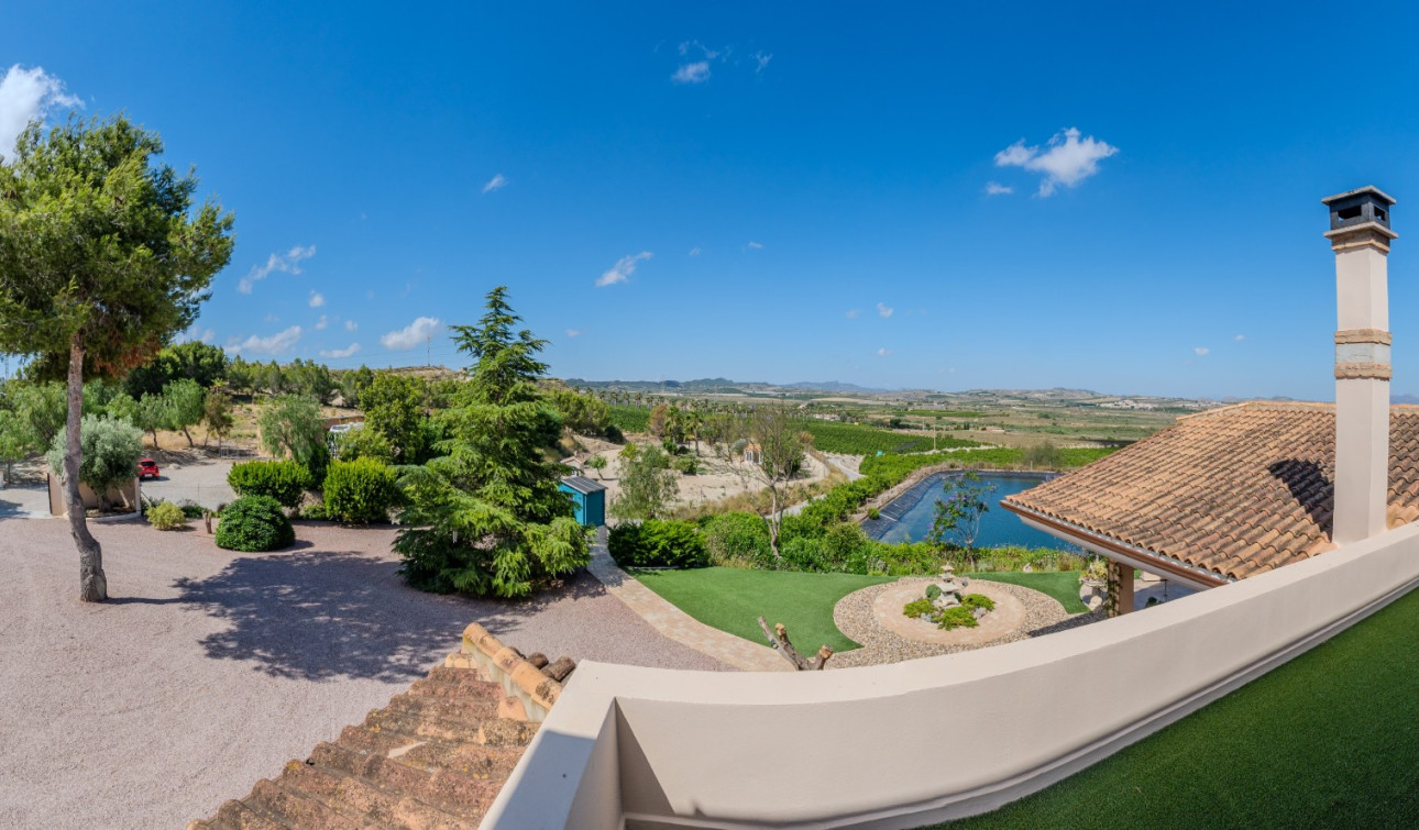 Resale - Finca / Country Property - San Miguel de Salinas - Torremendo
