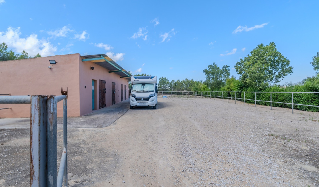 Resale - Finca / Country Property - San Miguel de Salinas - Torremendo