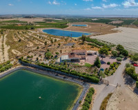 Resale - Finca / Country Property - San Miguel de Salinas - Torremendo