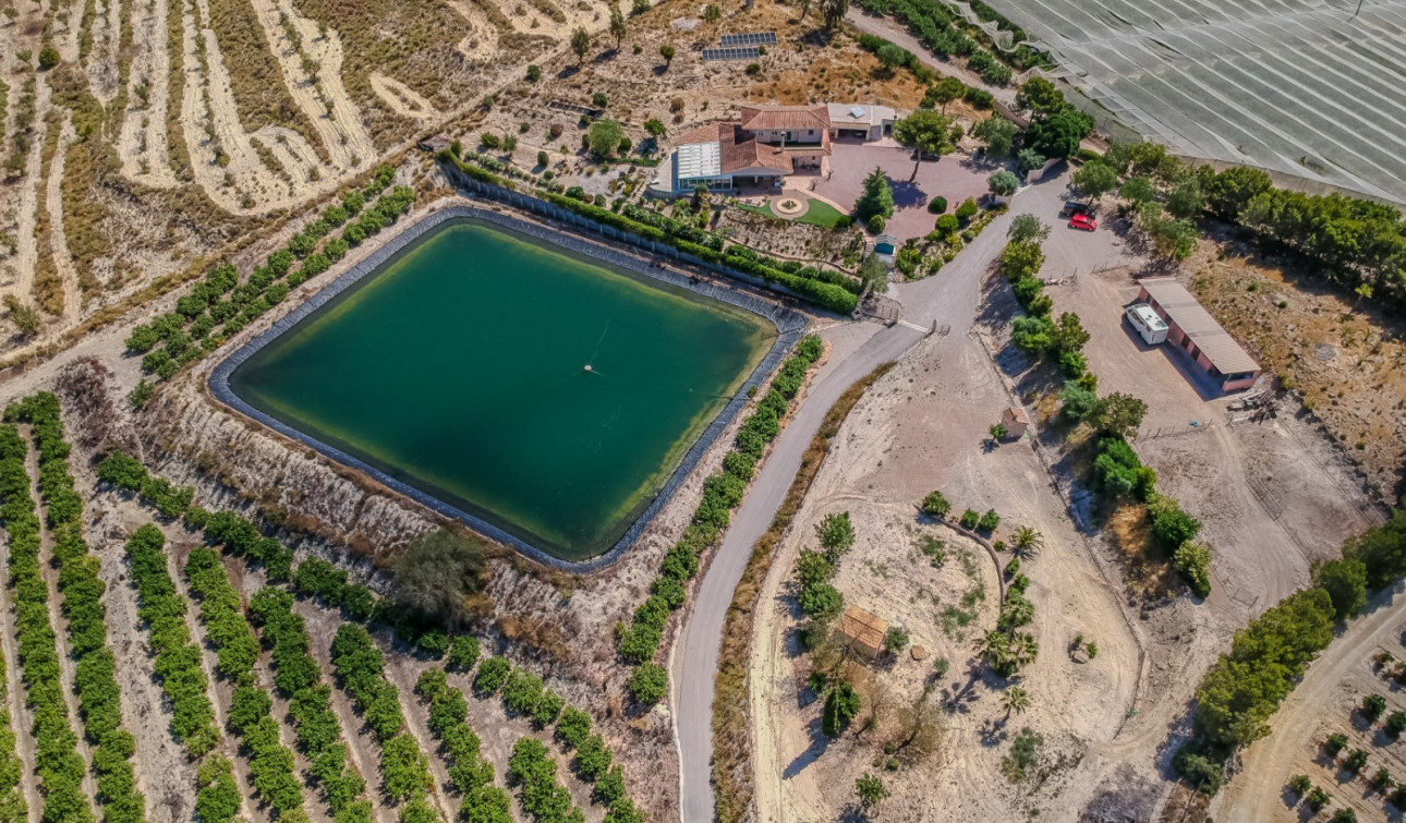 Resale - Finca / Country Property - San Miguel de Salinas - Torremendo