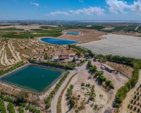 Resale - Finca / Country Property - San Miguel de Salinas - Torremendo