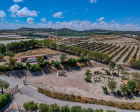 Resale - Finca / Country Property - San Miguel de Salinas - Torremendo