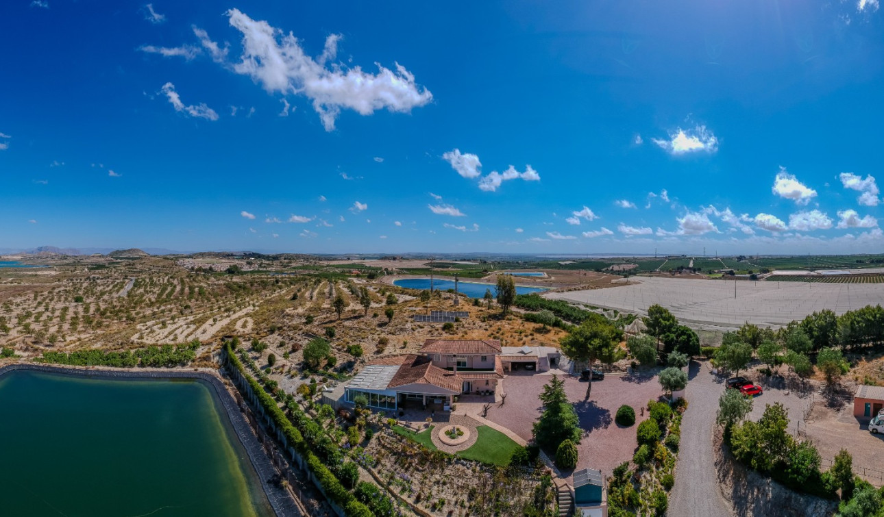 Resale - Finca / Country Property - San Miguel de Salinas - Torremendo
