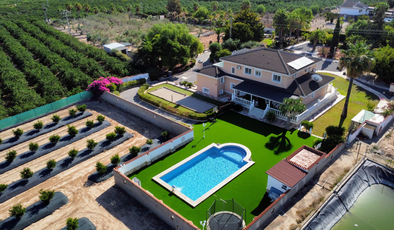 Resale - Finca / Country Property - San Miguel de Salinas