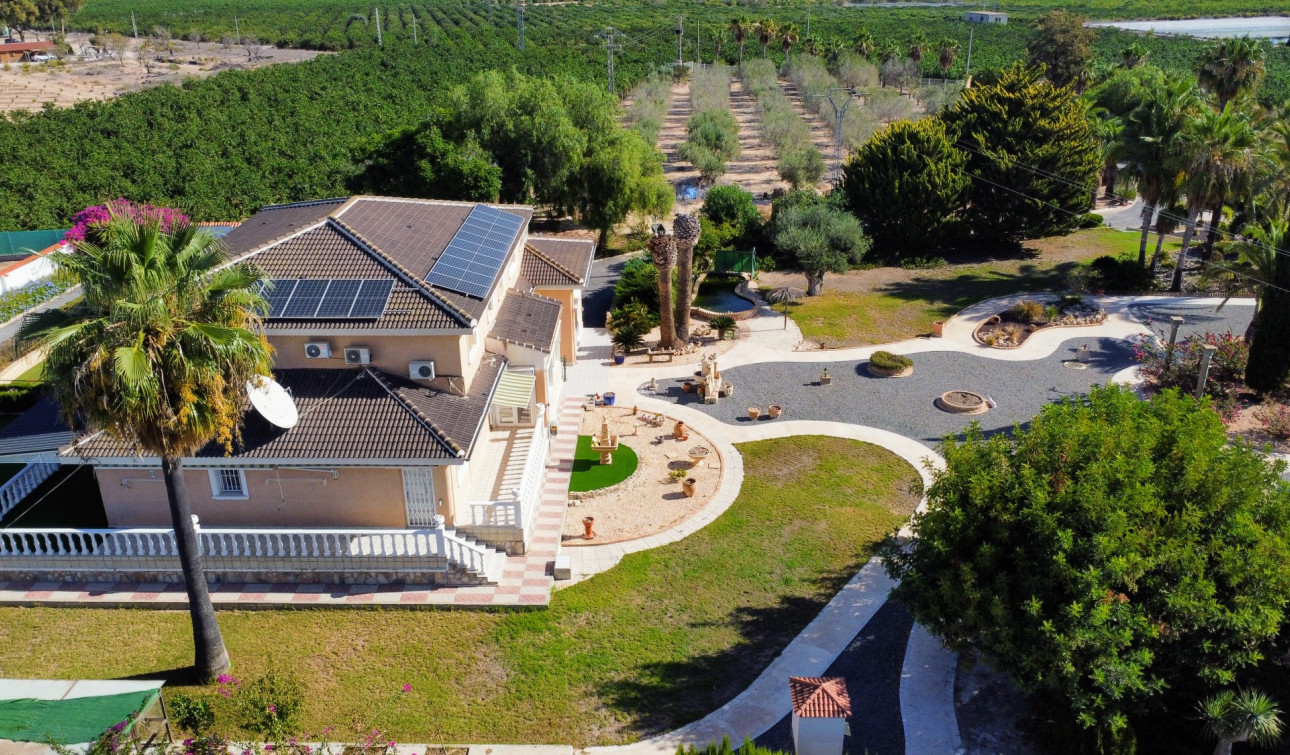 Resale - Finca / Country Property - San Miguel de Salinas