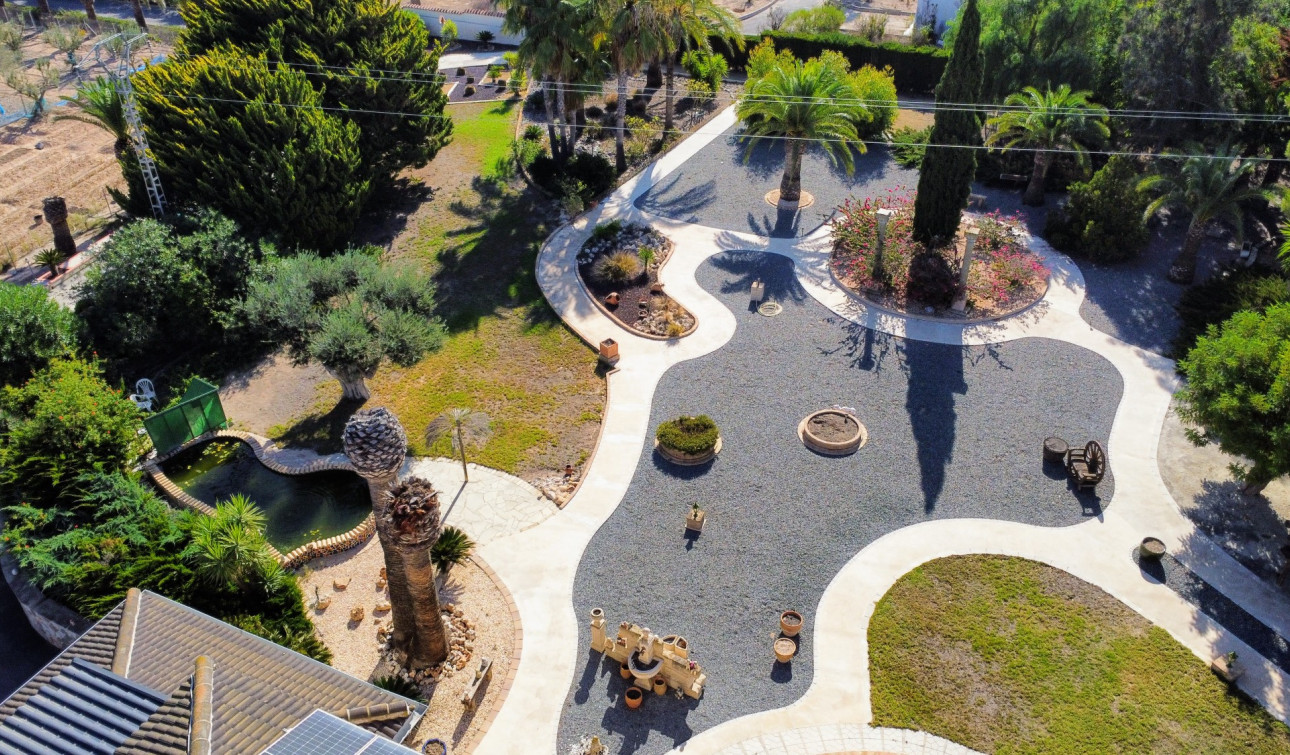 Resale - Finca / Country Property - San Miguel de Salinas