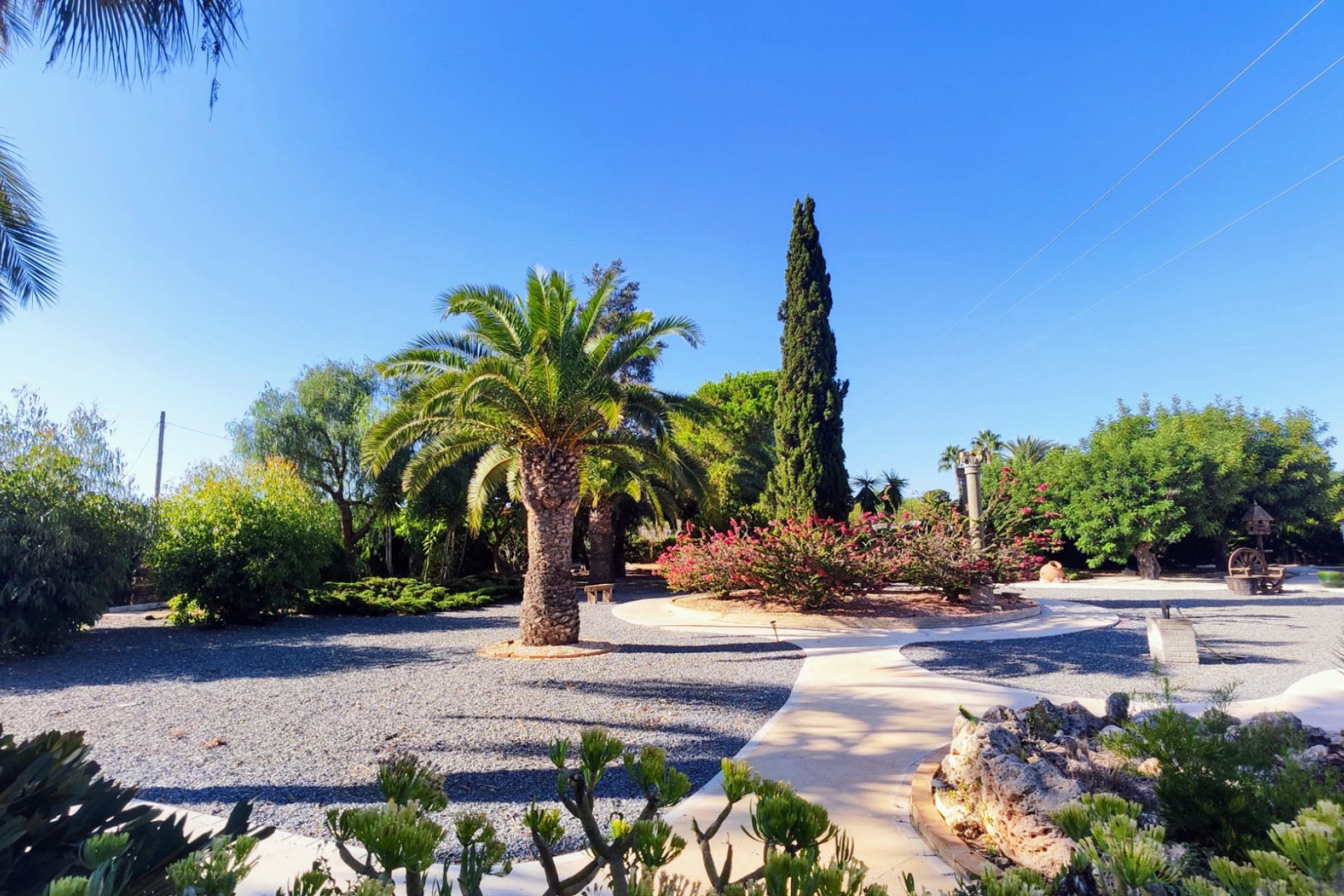 Resale - Finca / Country Property - San Miguel de Salinas