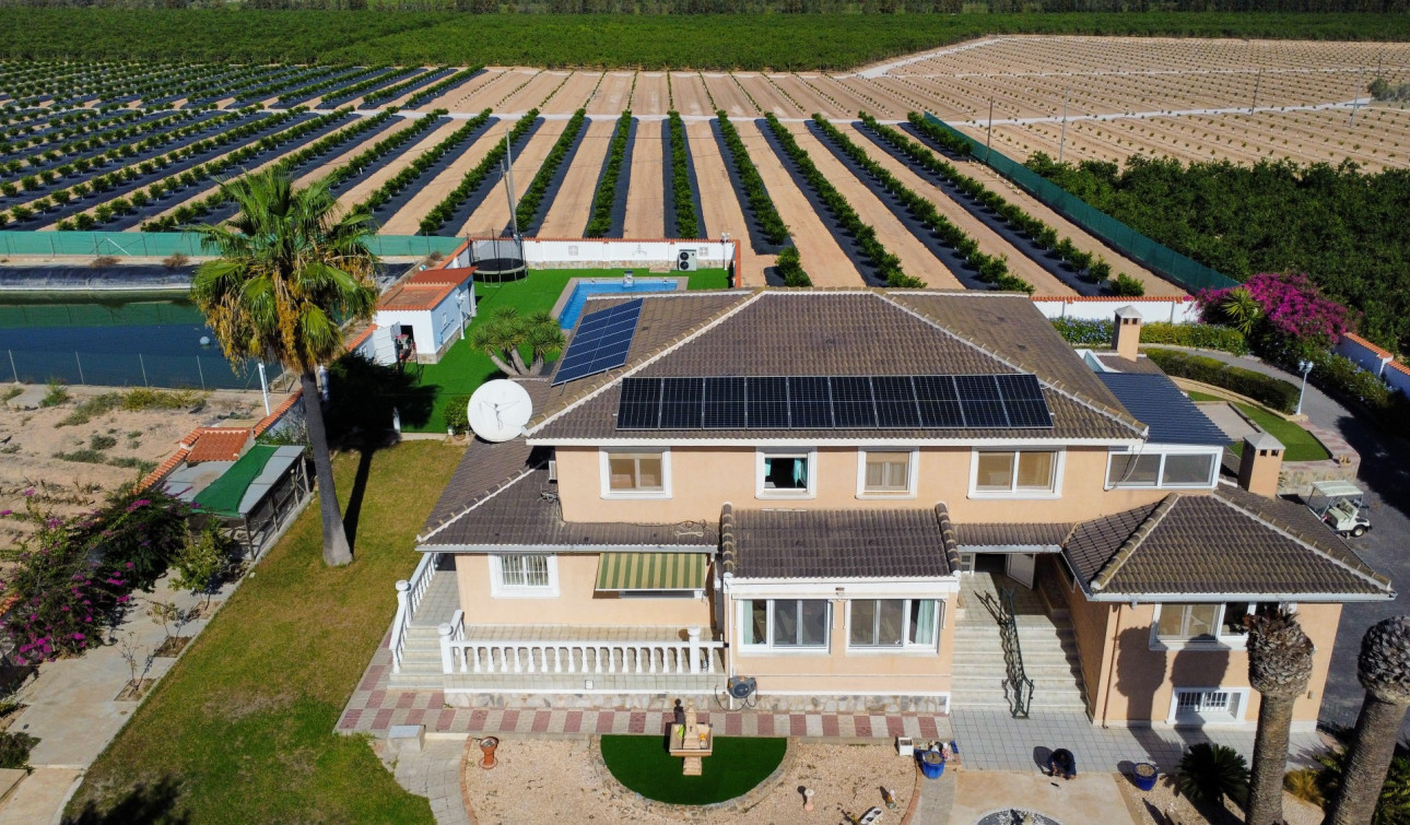 Resale - Finca / Country Property - San Miguel de Salinas