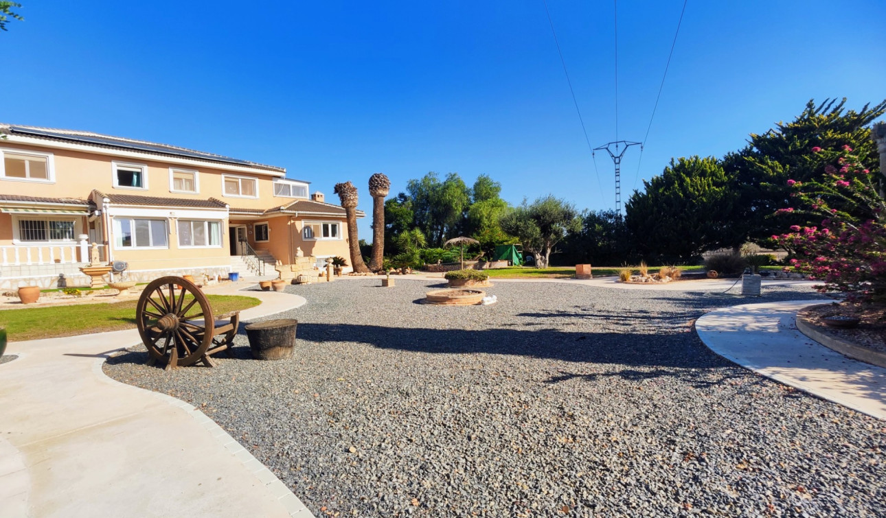 Resale - Finca / Country Property - San Miguel de Salinas