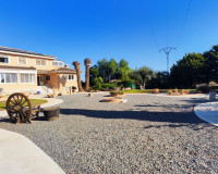 Resale - Finca / Country Property - San Miguel de Salinas